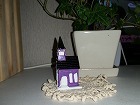 20150919_7.jpg