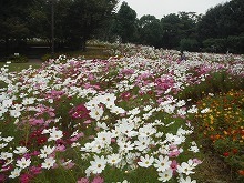 20151010_2.jpg