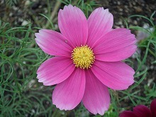 20151010_5.jpg