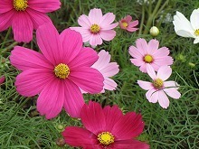 20151011_2.jpg