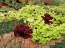 20151011_3.jpg