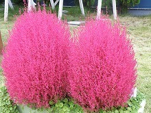 20151024_10.jpg