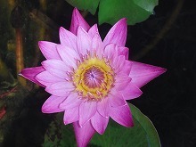 20151024_8.jpg