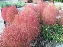 20151024_9.jpg
