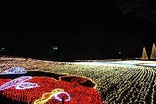 20151126_3.jpg