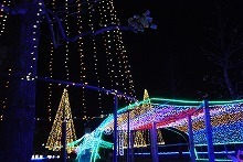 20151126_5.jpg
