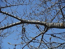20160322_2.jpg