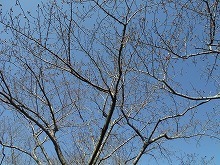 20160325_10.jpg