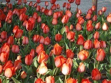 20160325_2.jpg