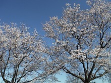 20160325_8.jpg
