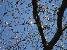 20160325_9.jpg