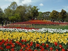 20160411_2.jpg