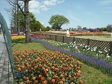 20160411_3.jpg