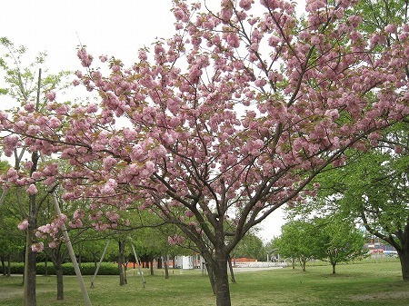 20160421_1.jpg