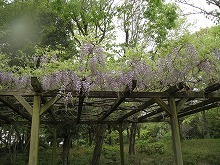20160421_3.jpg
