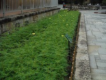 20161022_8.jpg
