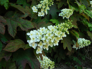 20180531_5.jpg