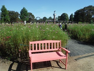 202011006_2.jpg