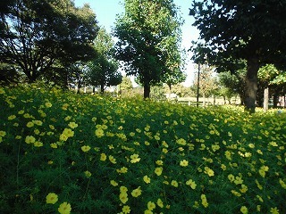 202011006_5.jpg