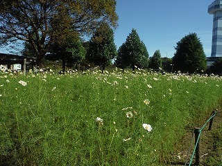 202011006_7.jpg