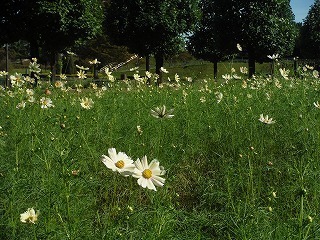 202011006_8.jpg