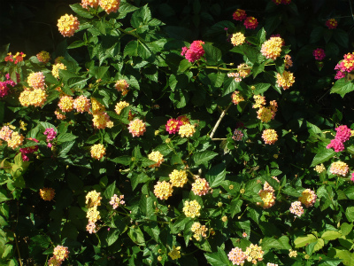 20201111_4.jpg