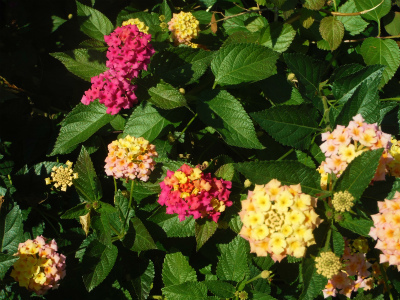 20201111_5.jpg