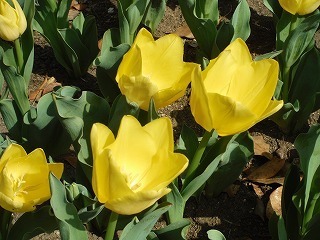 202103191_1.jpg