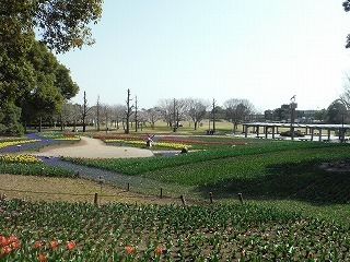 202103191_7.jpg