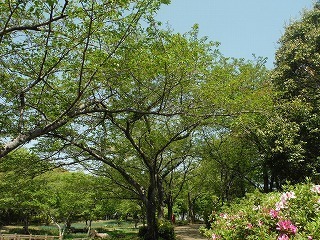 20210420_8.jpg