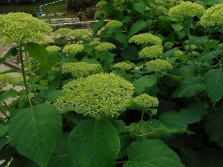 20210526_3.jpg
