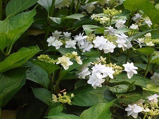 20210529_1.jpg