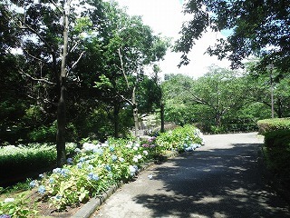 20210617_2.jpg
