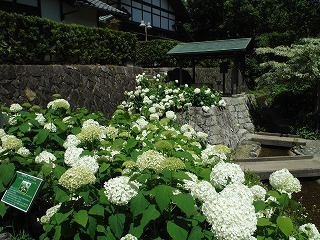 20210617_3.jpg