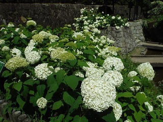 20210617_4.jpg
