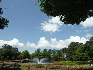 20210617_8.jpg