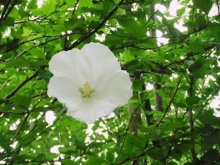 20210706_6.jpg