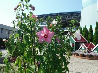 20210713_6.jpg