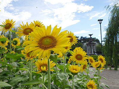 20220714_鶴舞公園(リ.jpg