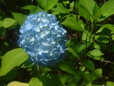 20250606_1.jpg