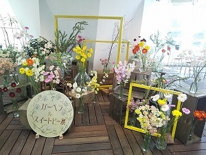 フラワーパーク江南】イベント～ガーベラ＆スイートピー展～: 木曽三川