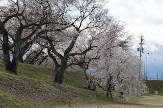 DSC00054.jpg