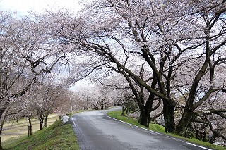 DSC00075.jpg