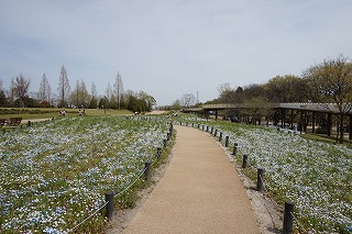 DSC00194.jpg