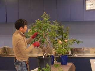 DSC00225.jpg
