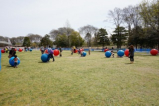 DSC00238.jpg