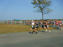 DSCF0264.jpg