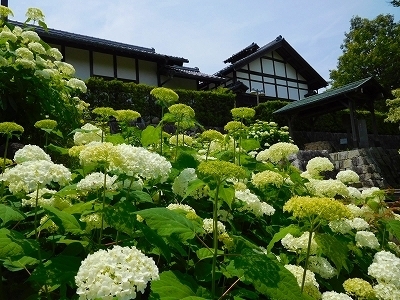 DSCN0319.jpg
