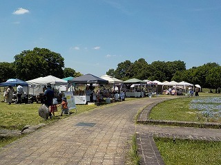 DSCN1567.jpg