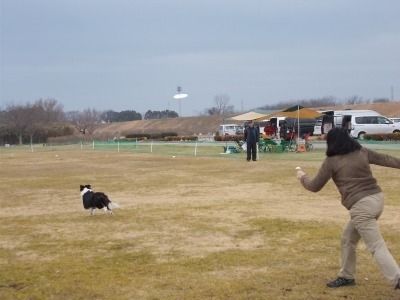 DSCN2418.jpg